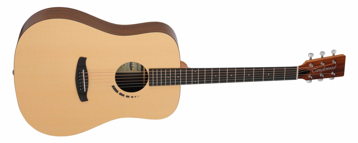 Tanglewood Metropolitan TM5
