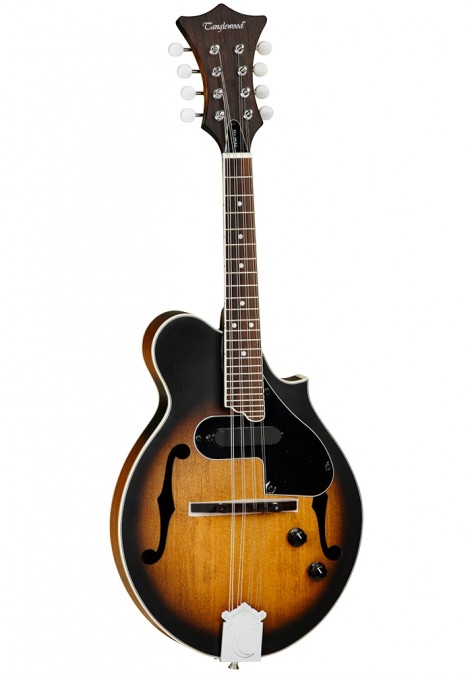 Tanglewood TWM F VS E Mandolin (Vintage Sunburst Satin)