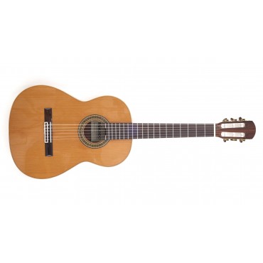 Raimundo Bossa Nova 1 Classical