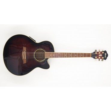 Ibanez AEL20E TCS (Transparent Cherry Sunburst)