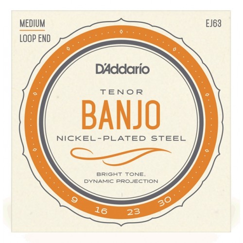 D'Addario EJ63 Tenor Banjo (Medium)