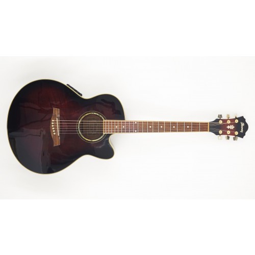 Ibanez AEL20E TCS (Transparent Cherry Sunburst)