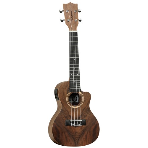 Tanglewood Tiare TWT-21E