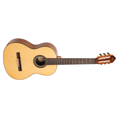Valencia VC564 (Natural Gloss)