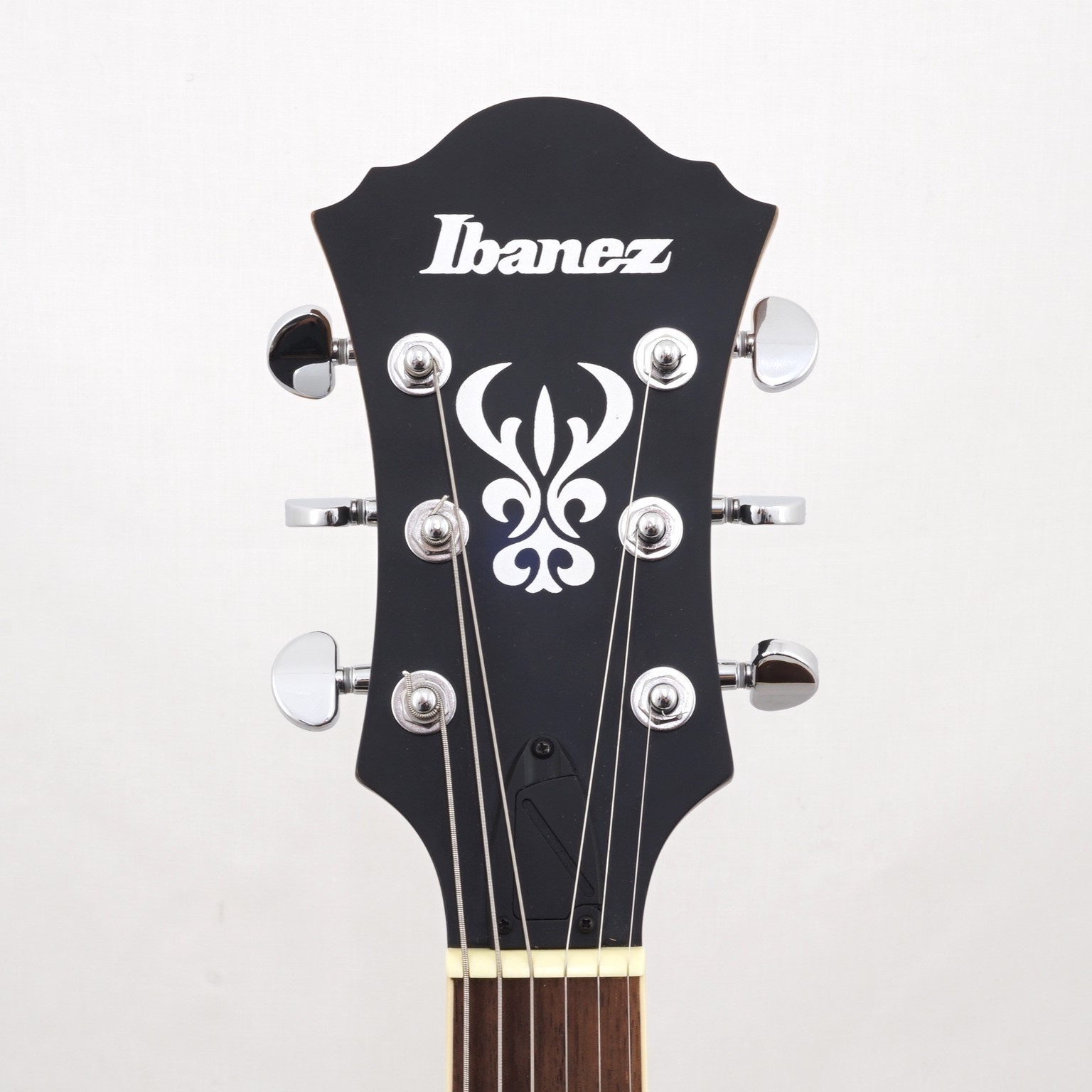 Bedienungsanleitung Ibanez Artcore Af55 – LMFMNI
